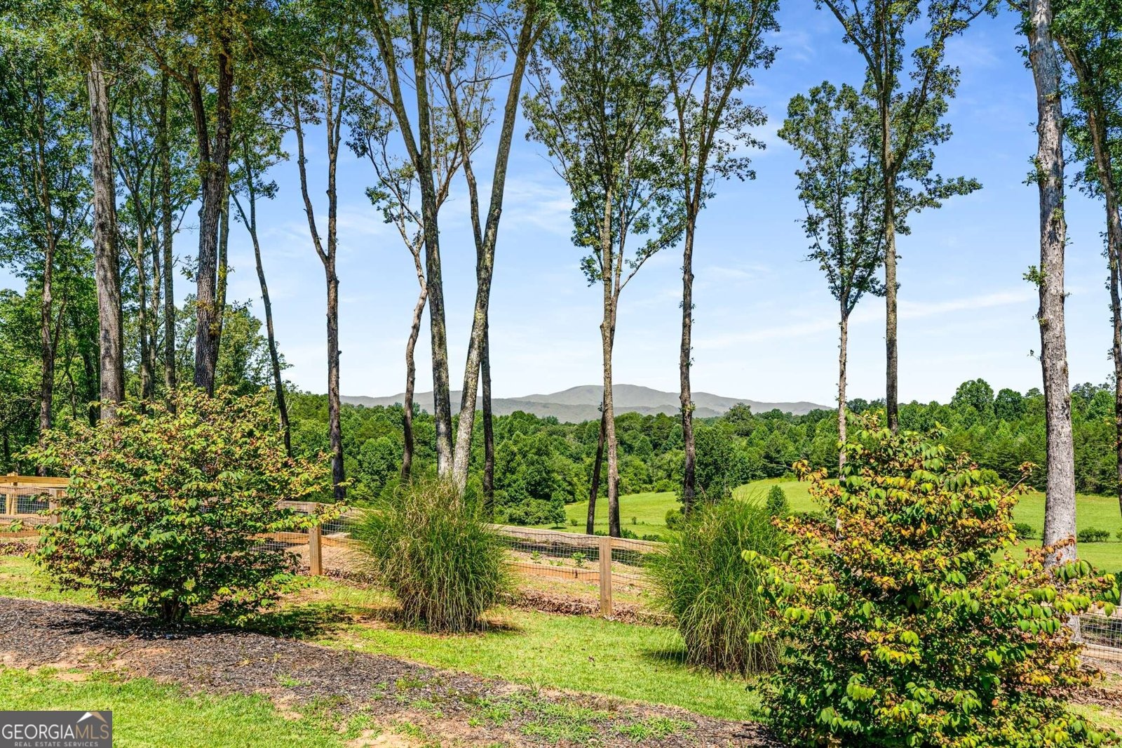 254 Nicholson Road Blue Ridge - Photo 65