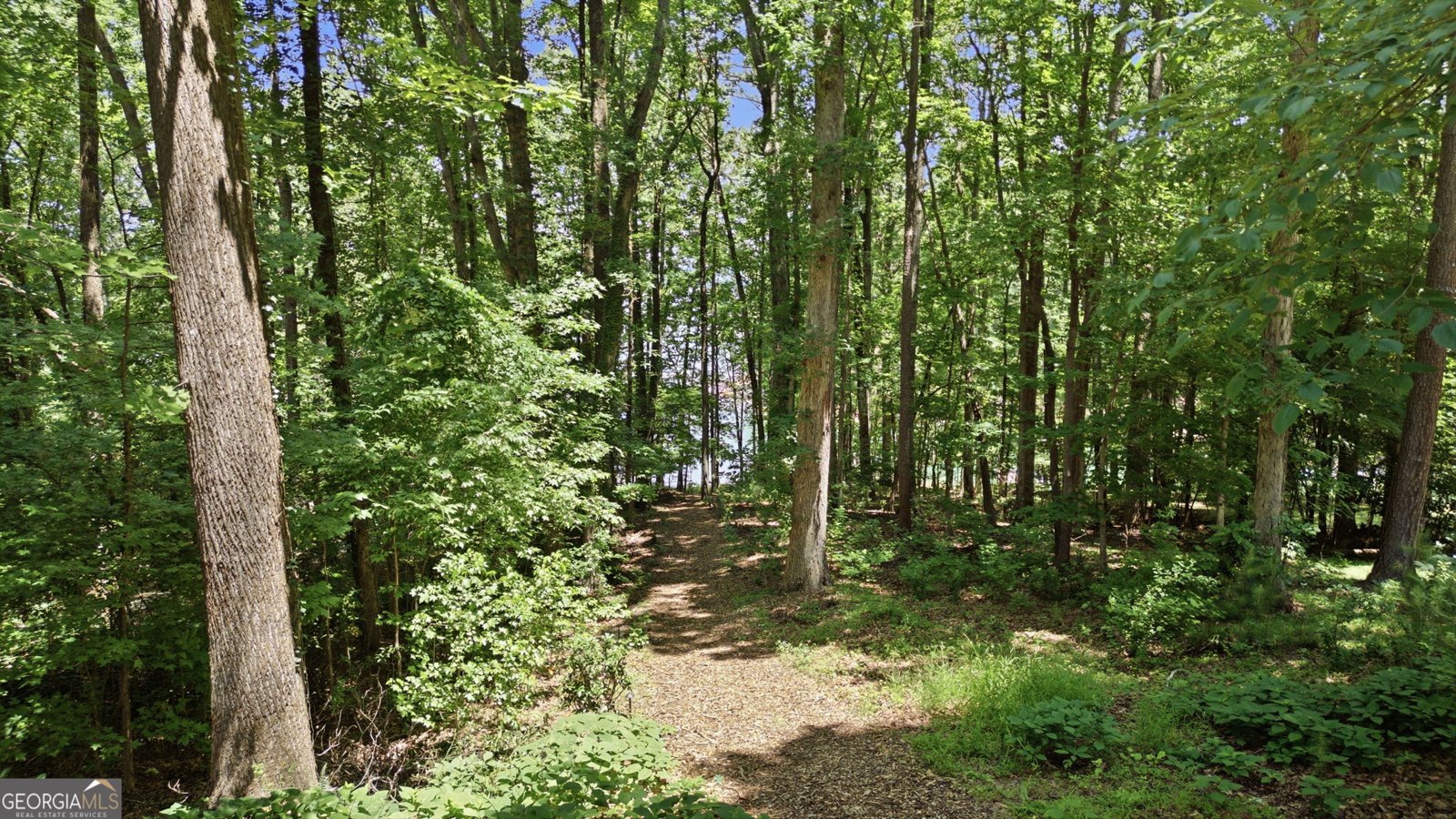 2665 Brook Valley Drive Cumming - Photo 50