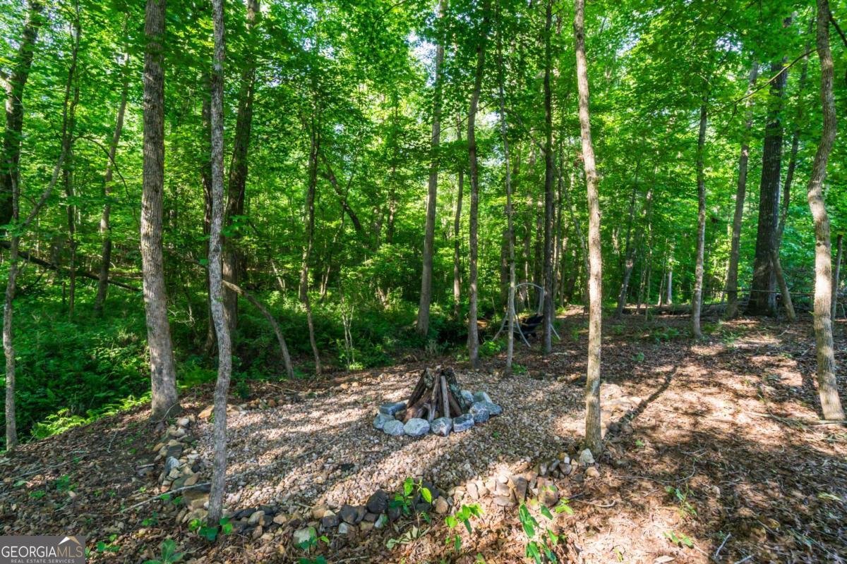 368 Bryndemere Drive Dawsonville - Photo 27