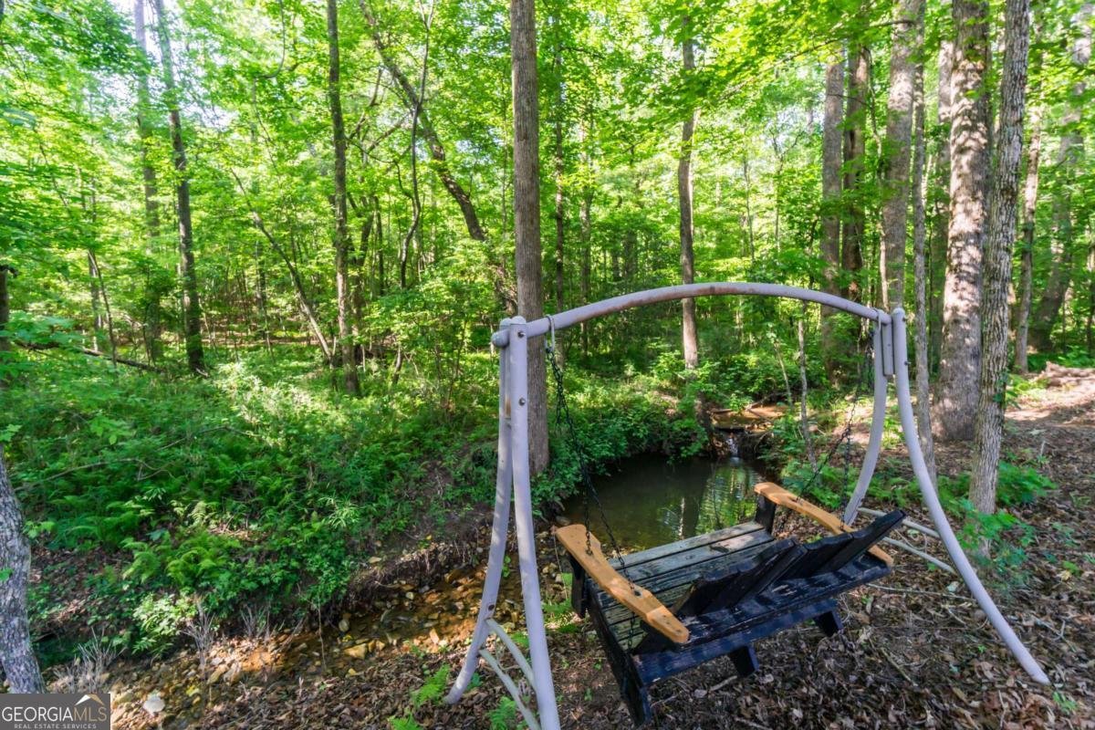 368 Bryndemere Drive Dawsonville - Photo 30