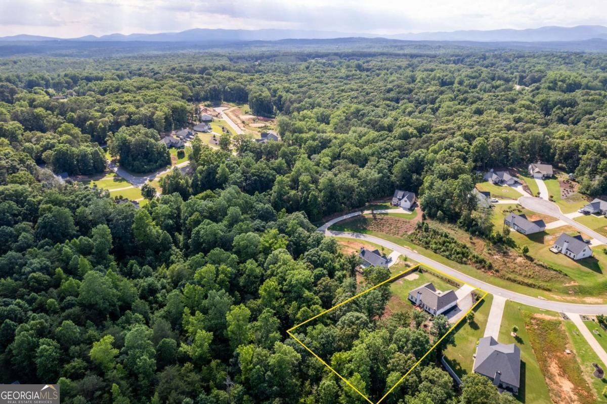 368 Bryndemere Drive Dawsonville - Photo 37