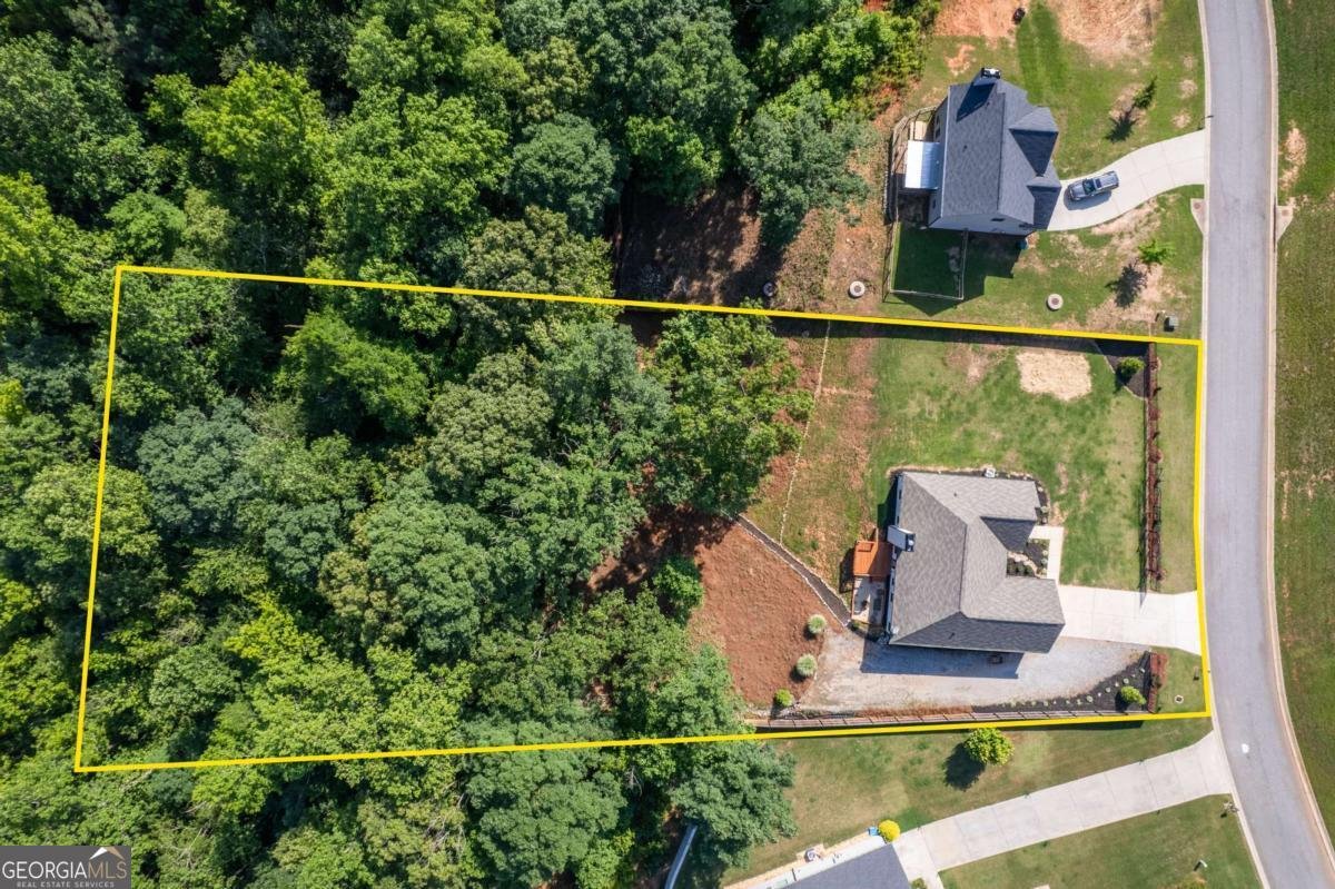 368 Bryndemere Drive Dawsonville - Photo 38
