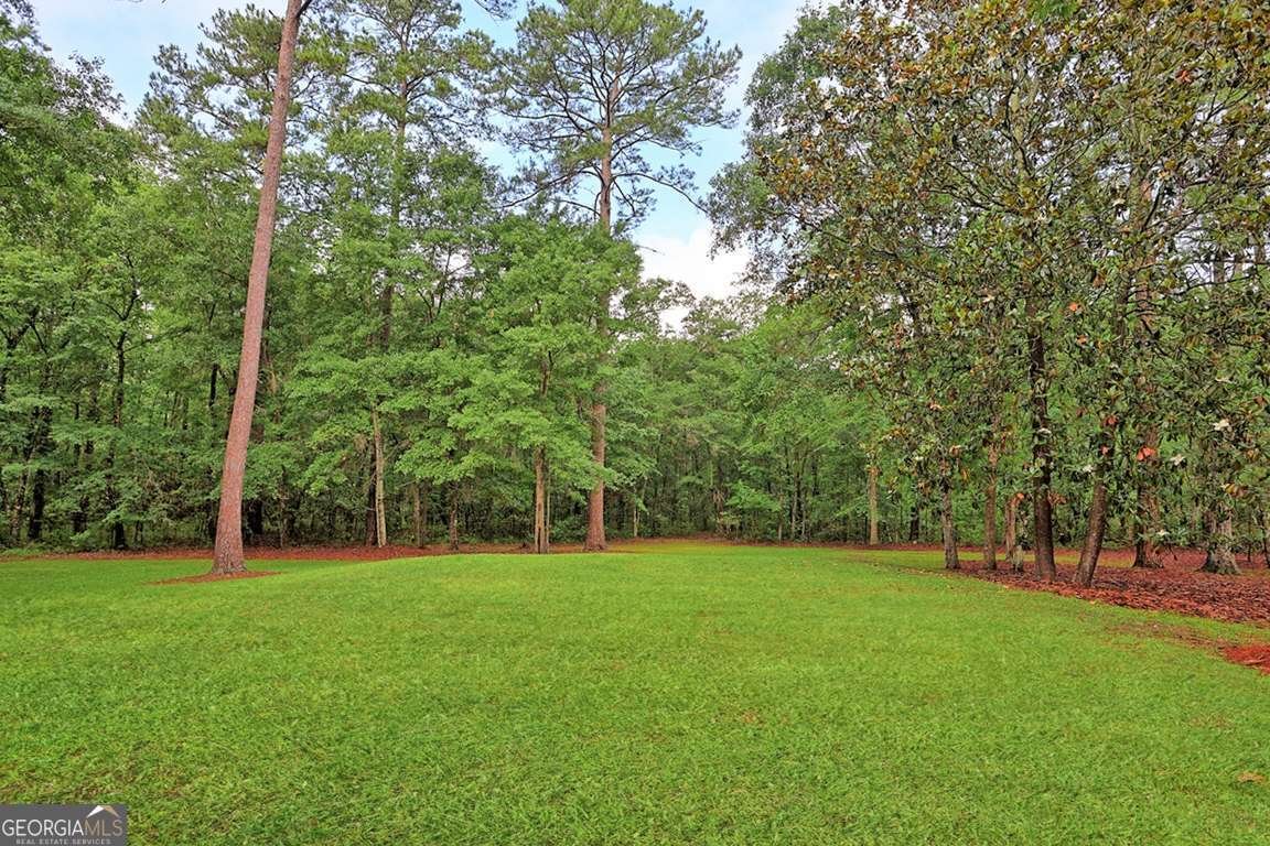 120 Lake Tomacheechee Drive Rincon - Photo 57