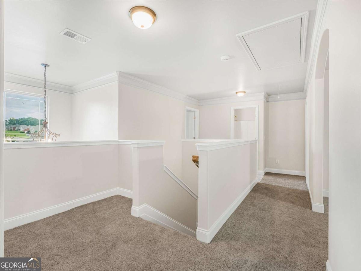 525 Trousseau Lane Mcdonough - Photo 25