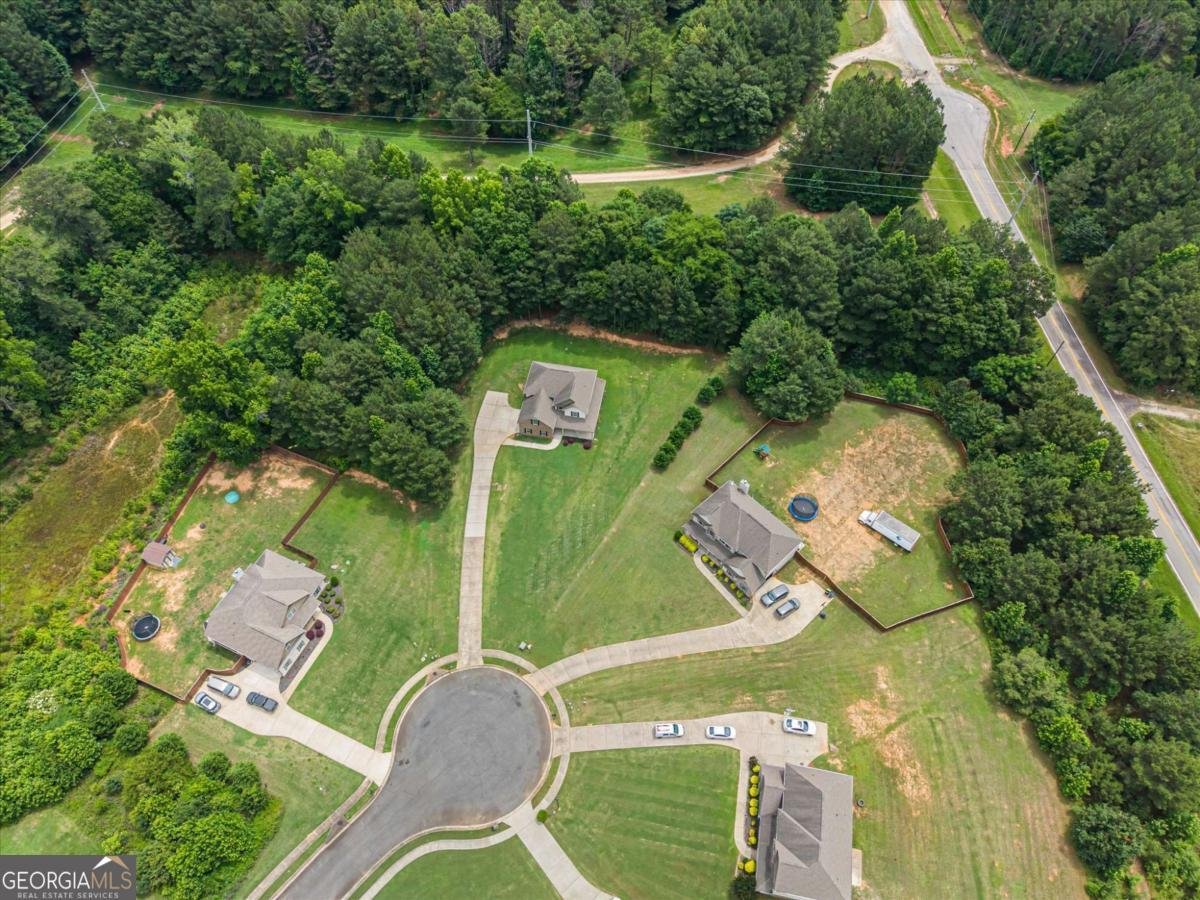 525 Trousseau Lane Mcdonough - Photo 41