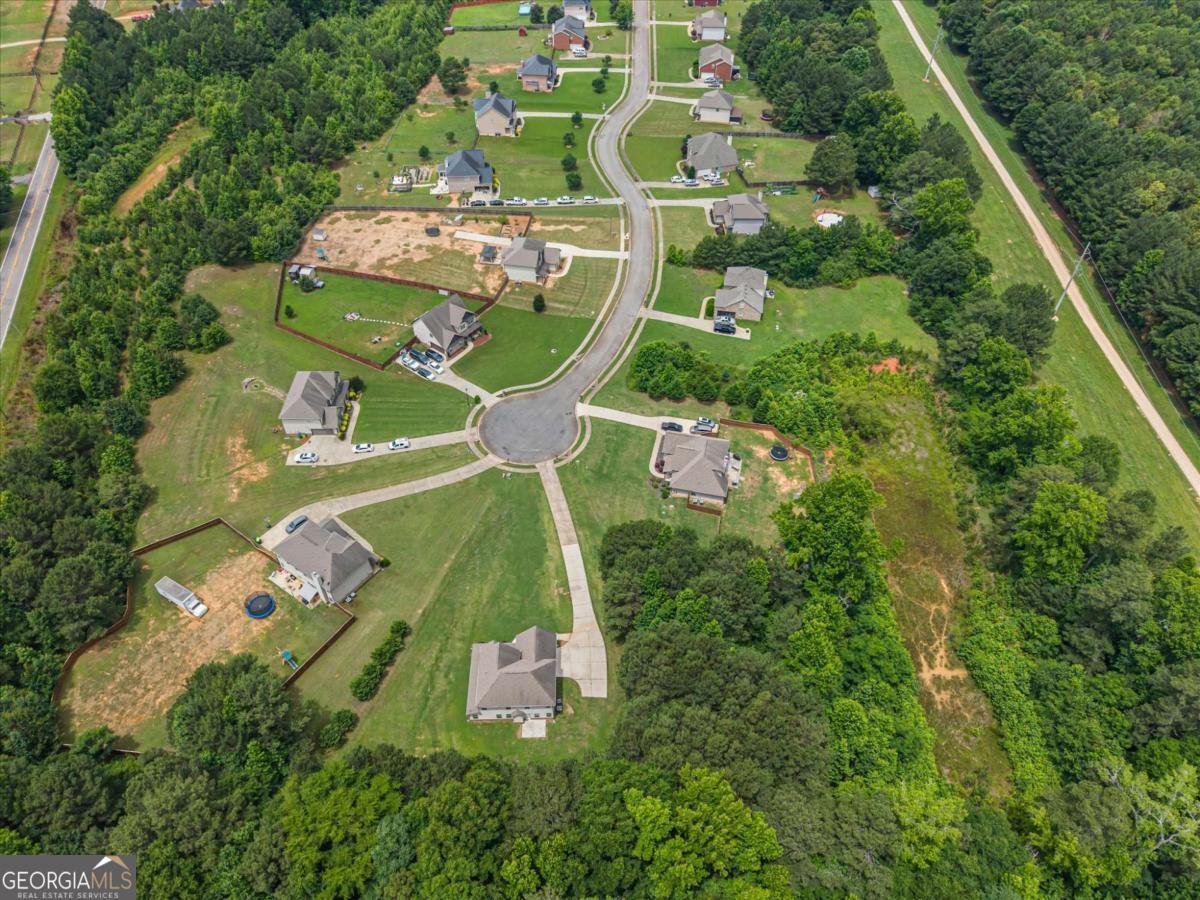 525 Trousseau Lane Mcdonough - Photo 42