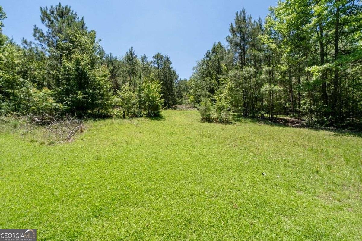 14501 Veterans Memorial Highway Villa Rica - Photo 10