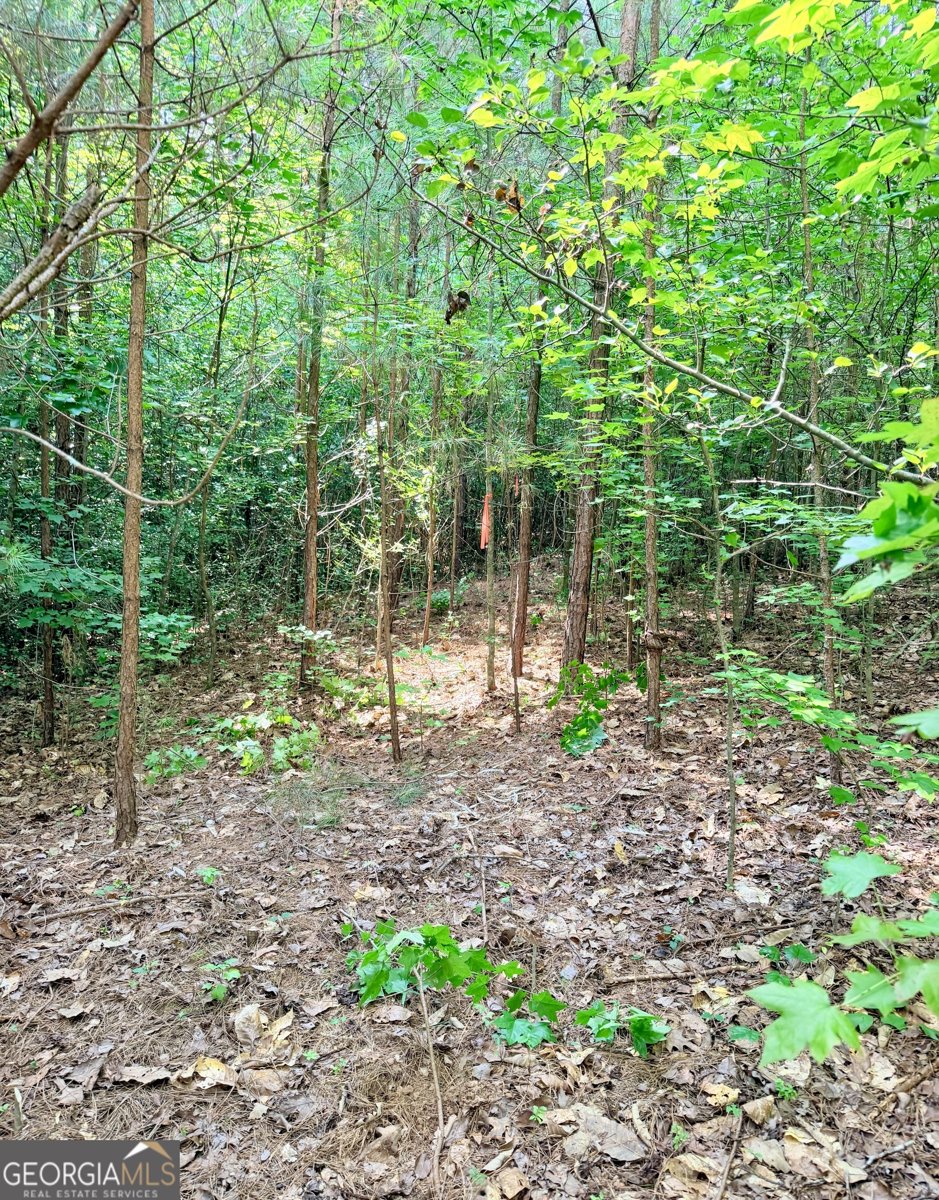 14501 Veterans Memorial Highway Villa Rica - Photo 27