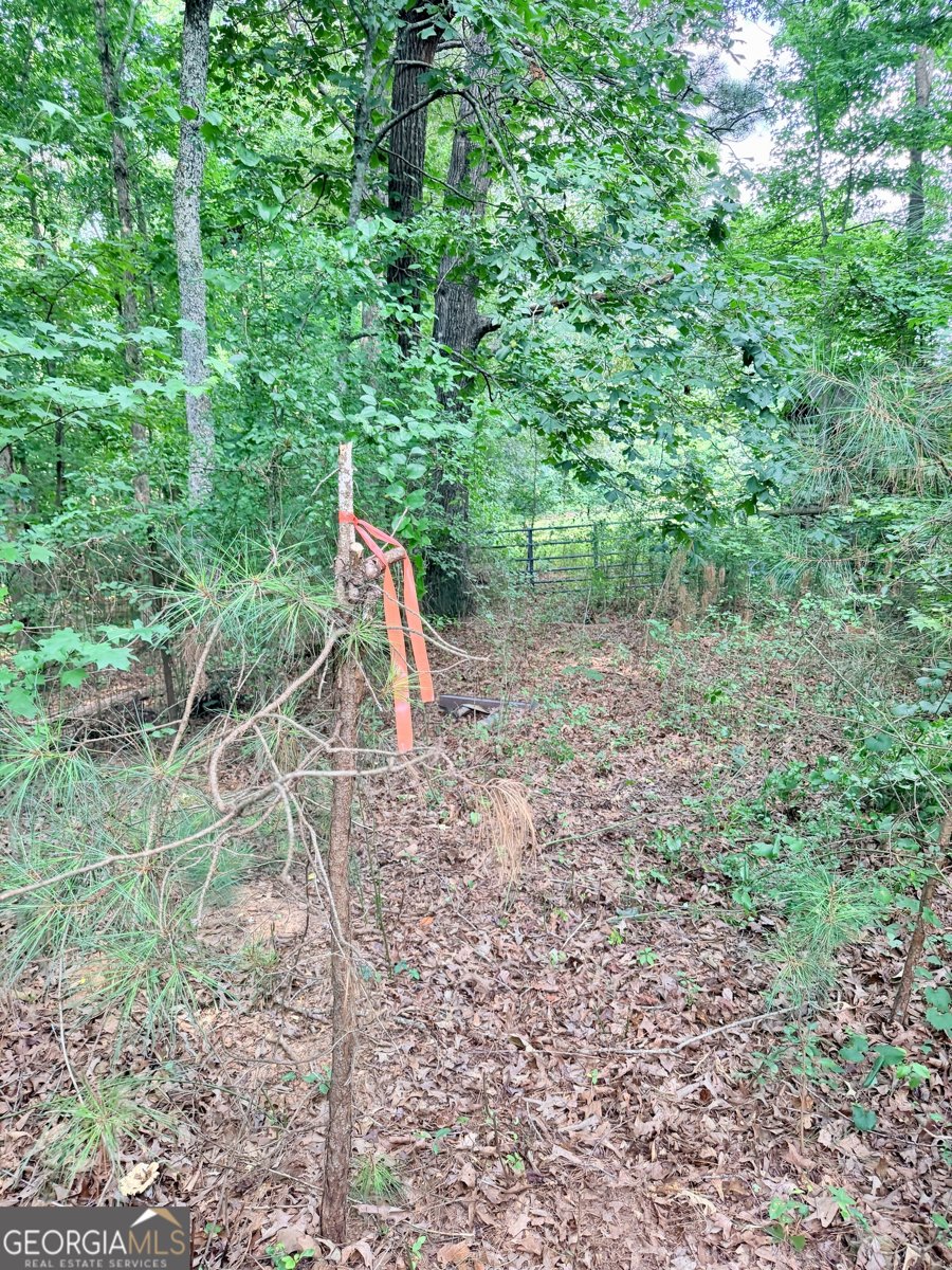 14501 Veterans Memorial Highway Villa Rica - Photo 39