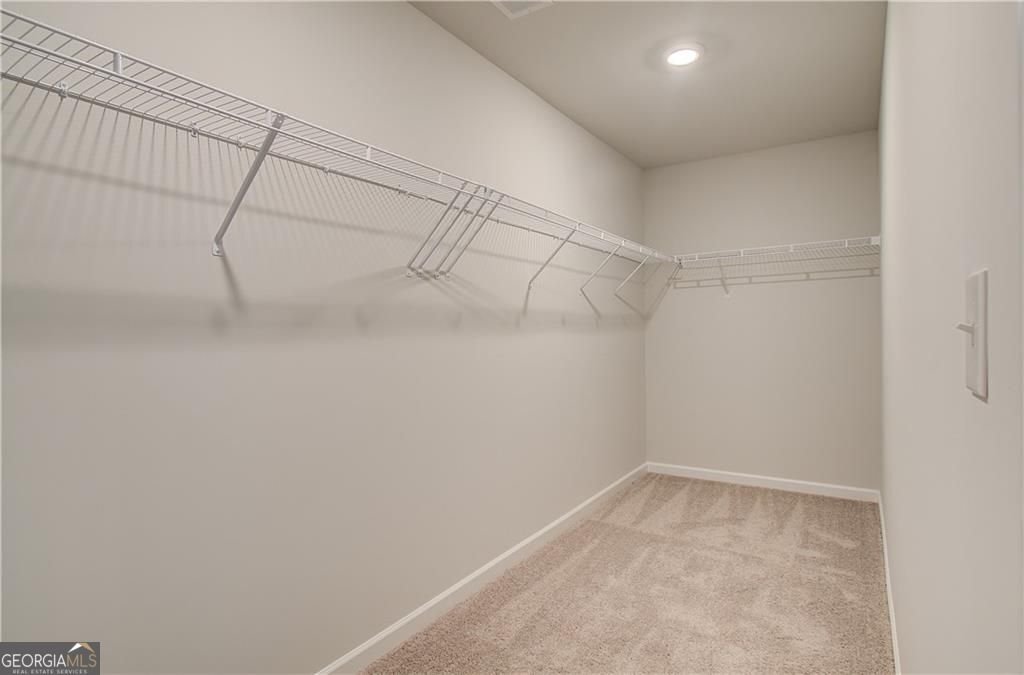 301 Delta Drive McDonough - Photo 30