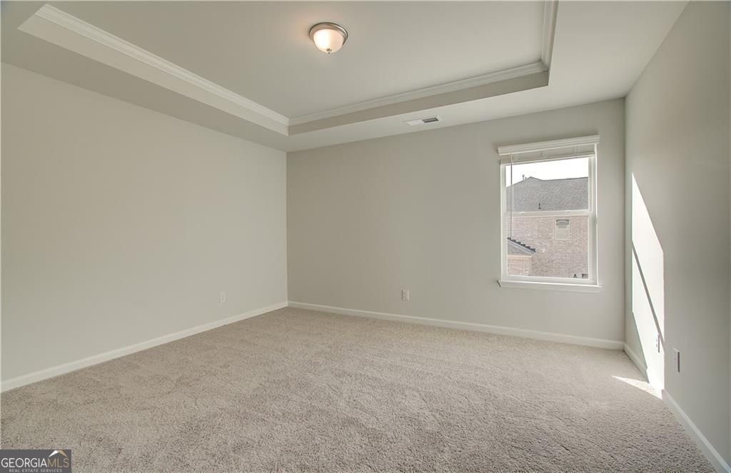 301 Delta Drive McDonough - Photo 33