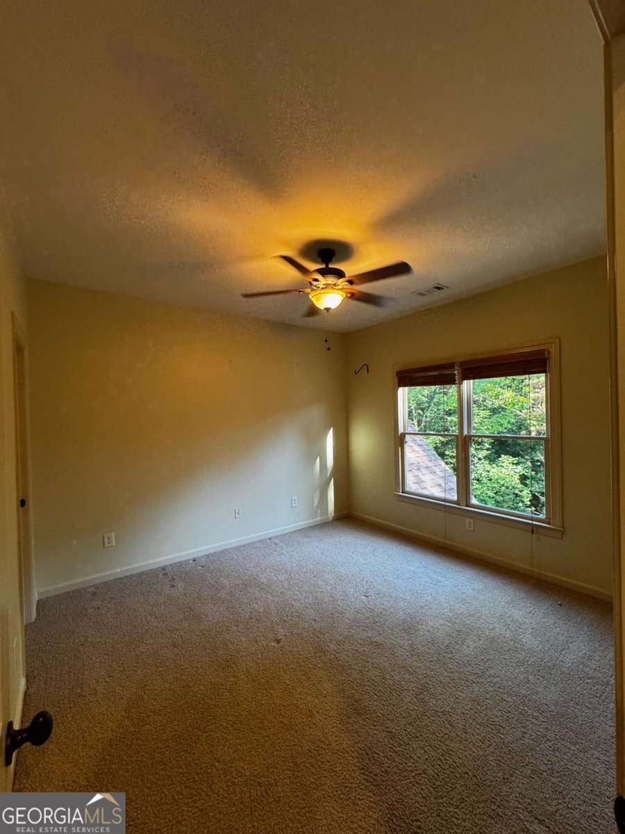 508 Black Horse Circle Canton - Photo 30