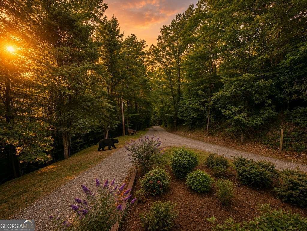 728 Deer Lane Hiawassee - Photo 12