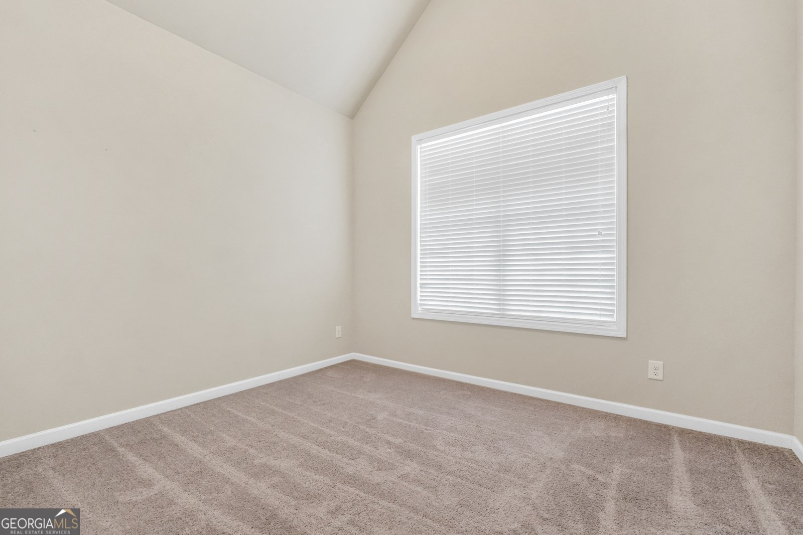 205 Arborview Drive McDonough - Photo 33