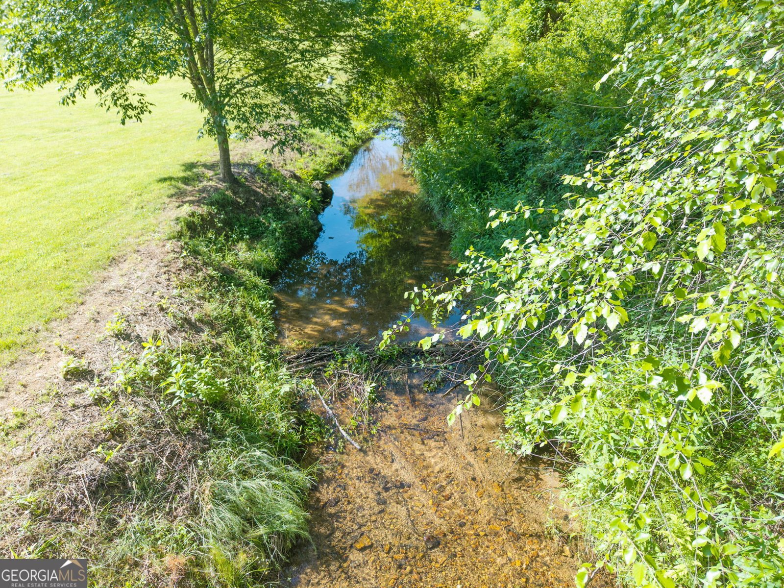 1358 Brasstown Creek Meadow Drive Young Harris - Photo 39