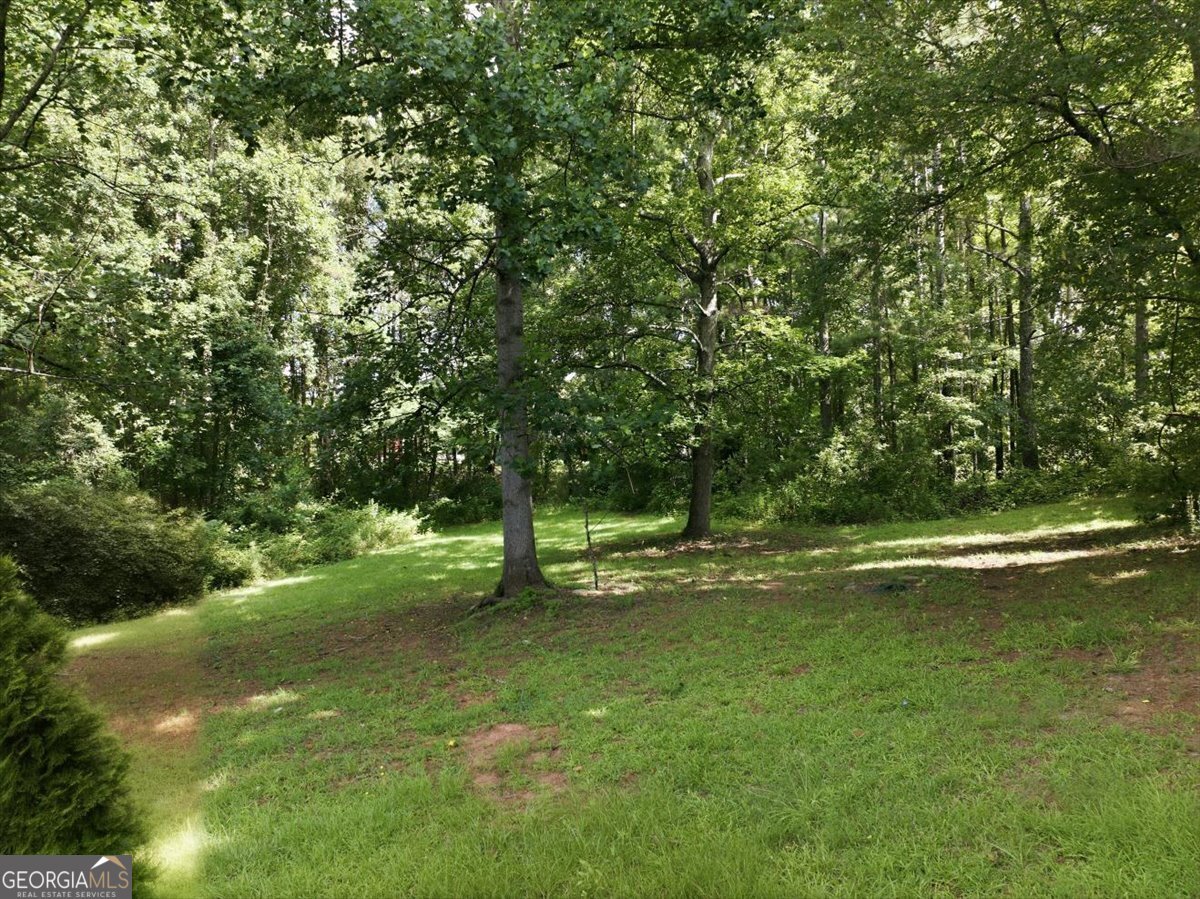 105 Elberta Drive Newnan - Photo 35