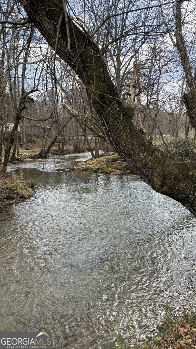 33 Speckled Trout Drive Cleveland - Photo 29