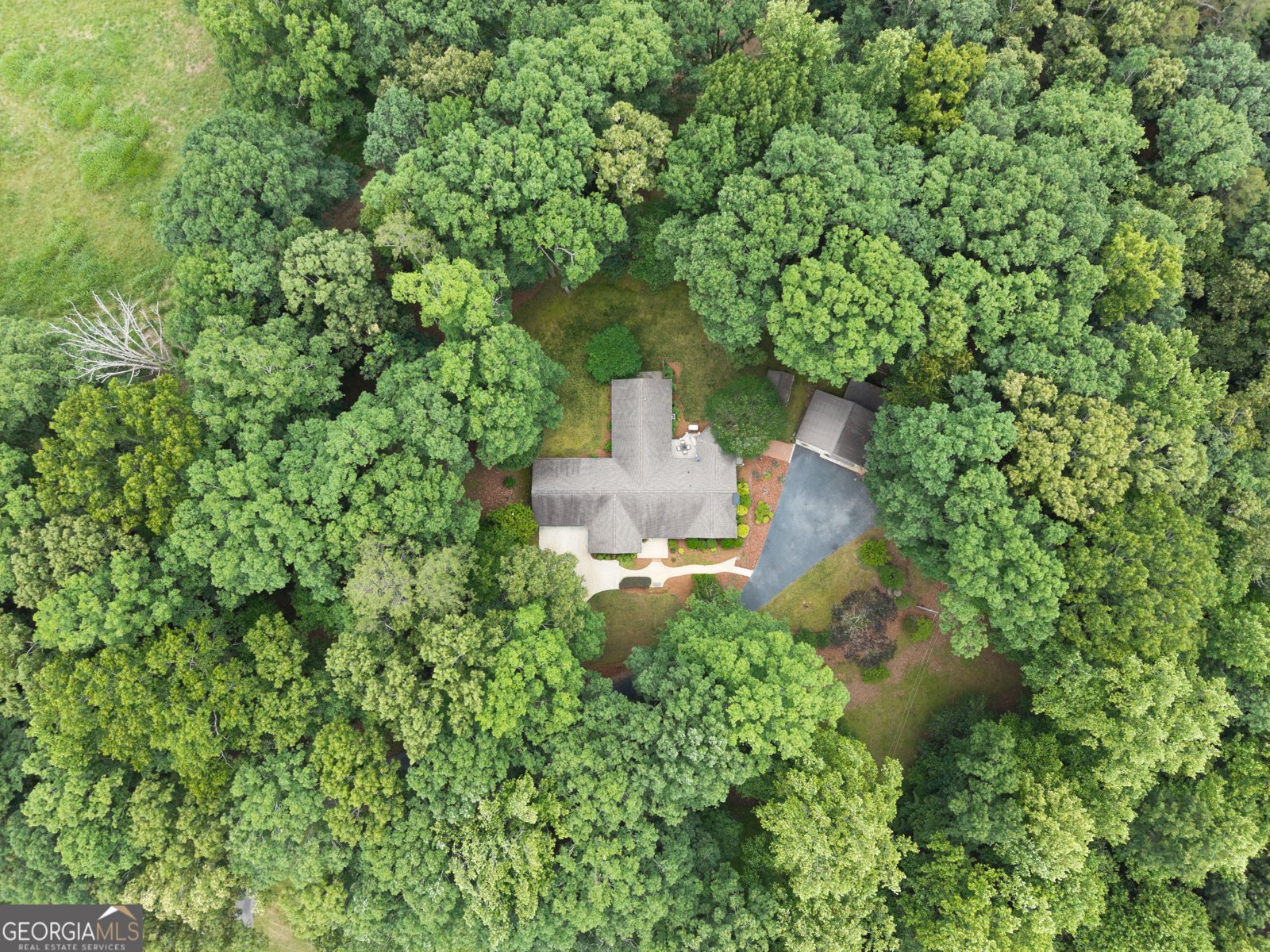 2290 Alec Mountain Rd Clarkesville - Photo 46