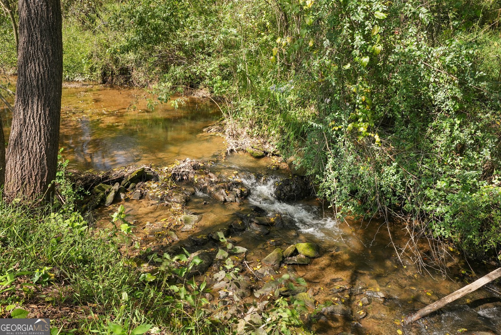 2290 Alec Mountain Rd Clarkesville - Photo 50