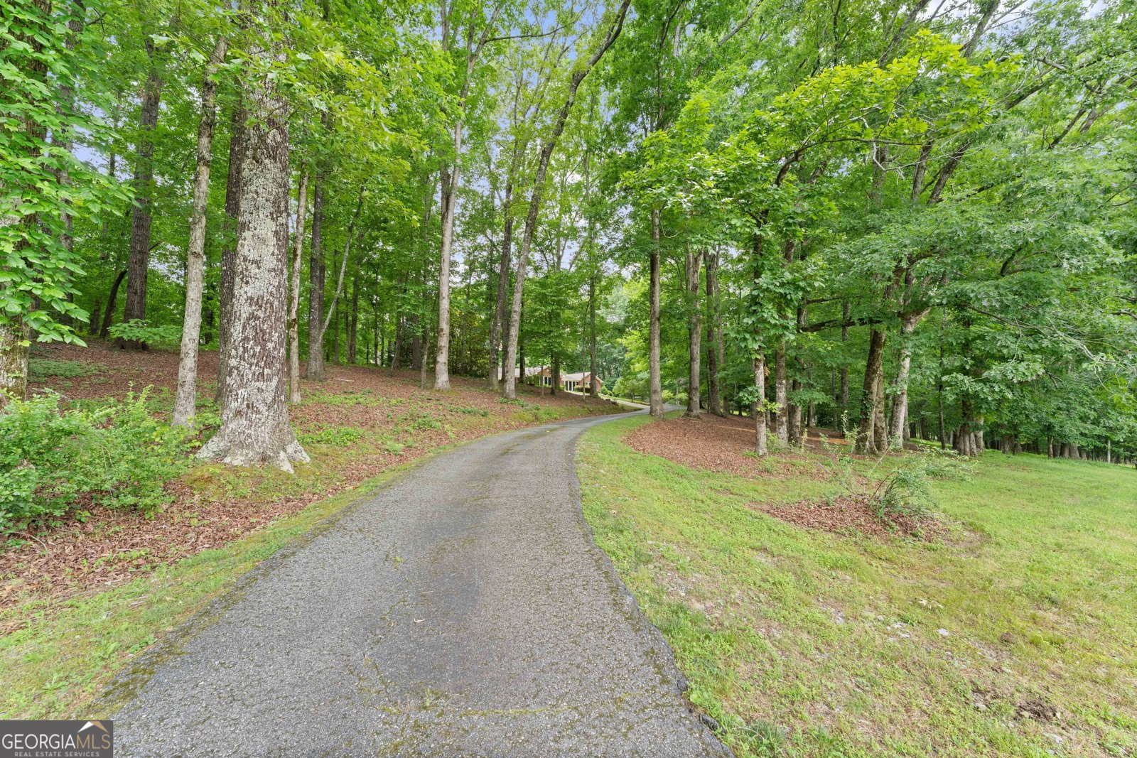 2290 Alec Mountain Rd Clarkesville - Photo 69
