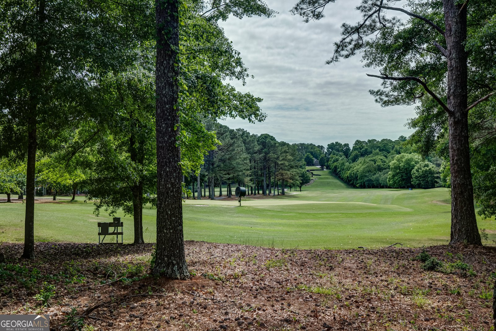 37 Forest Point Newnan - Photo 56
