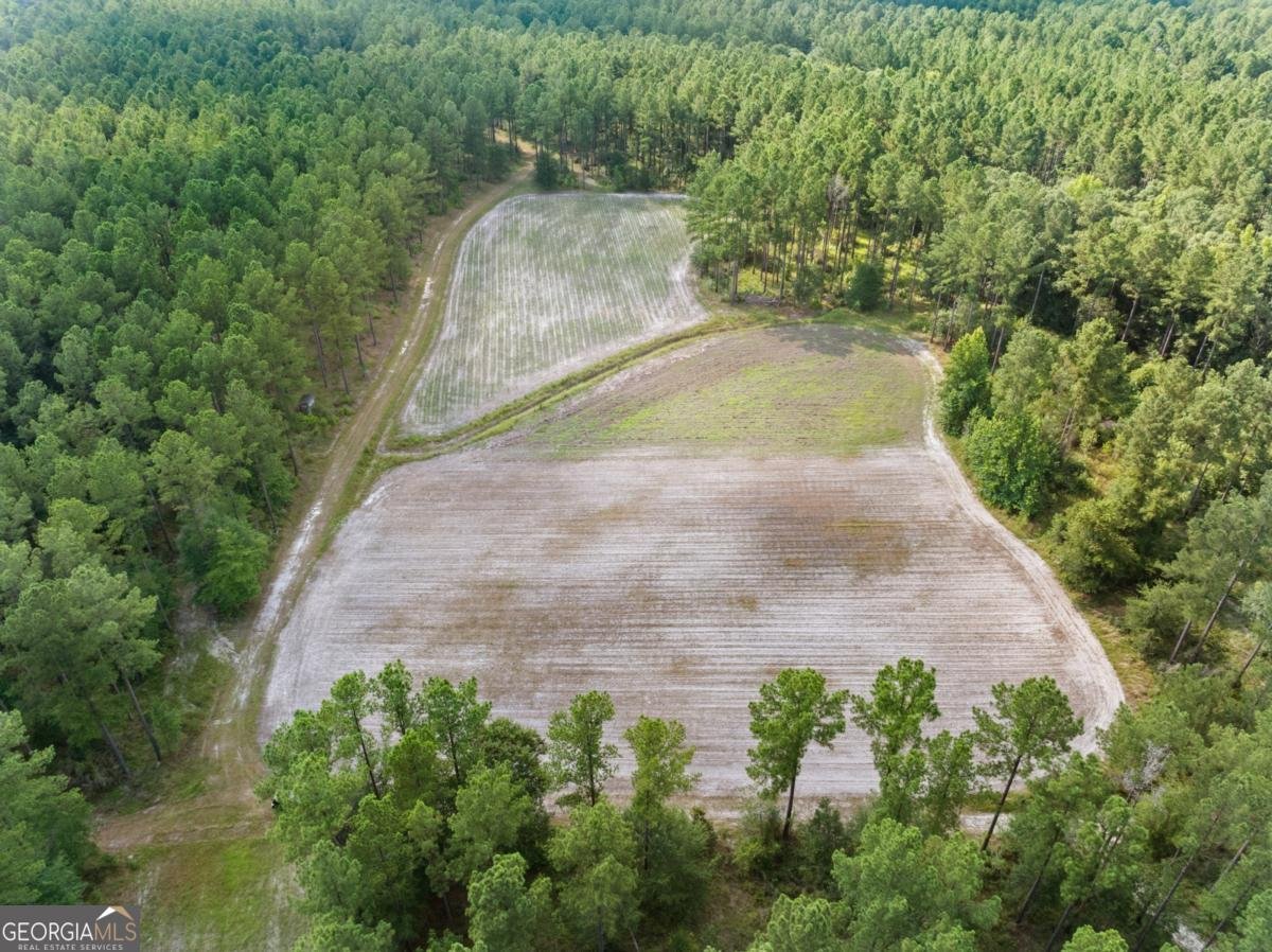 13320 Sunbury Road Claxton - Photo 7