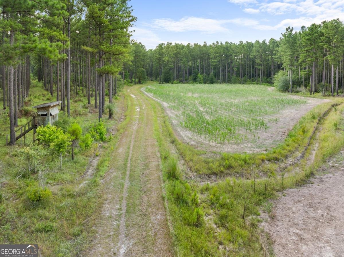 13320 Sunbury Road Claxton - Photo 8