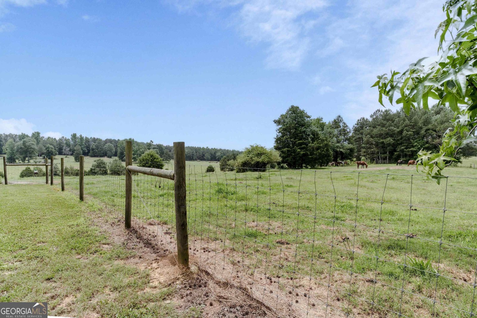 1250 Texas Valley Road Rome - Photo 40