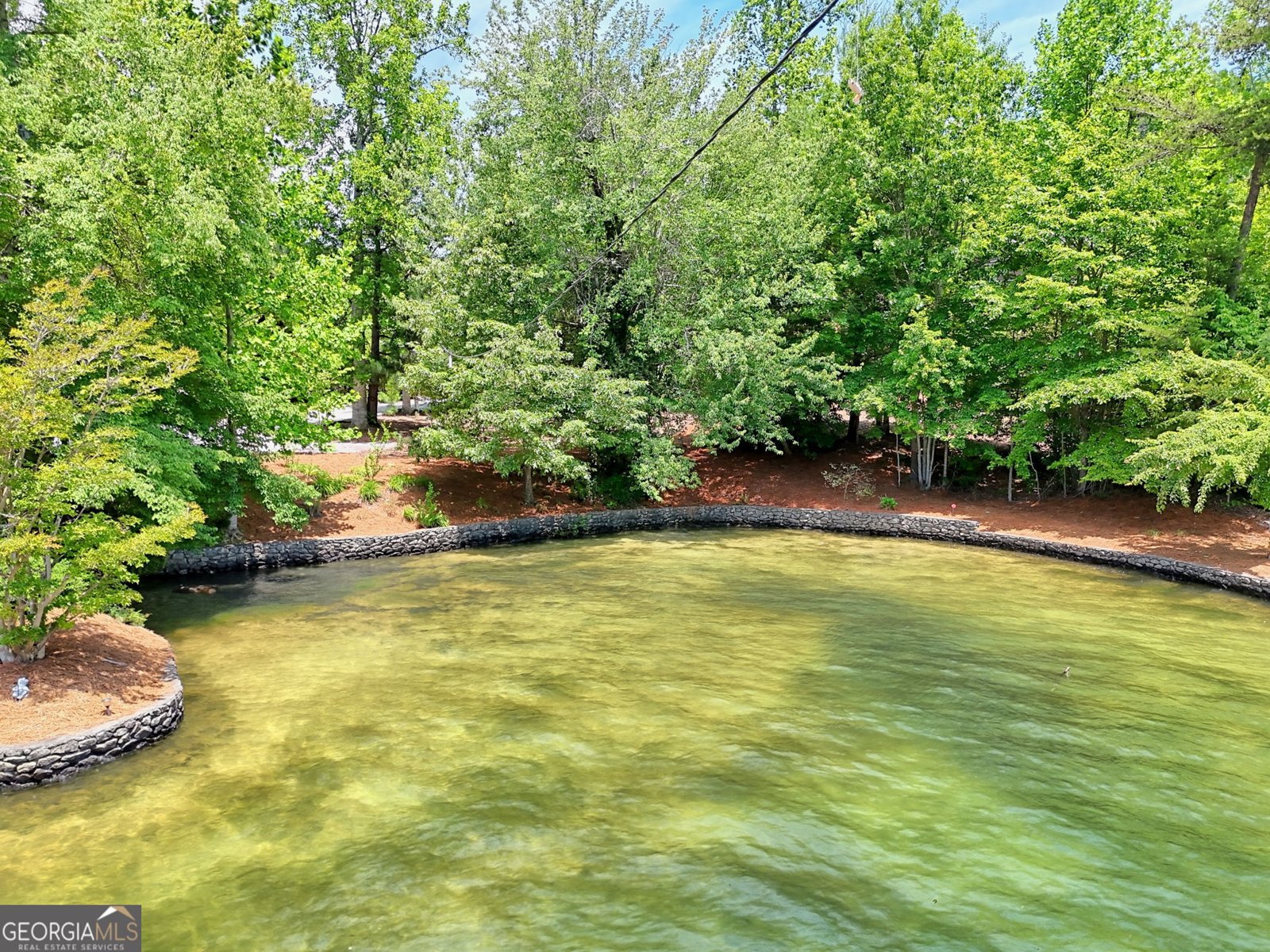 1615 Timpson Cove Road Clayton - Photo 20