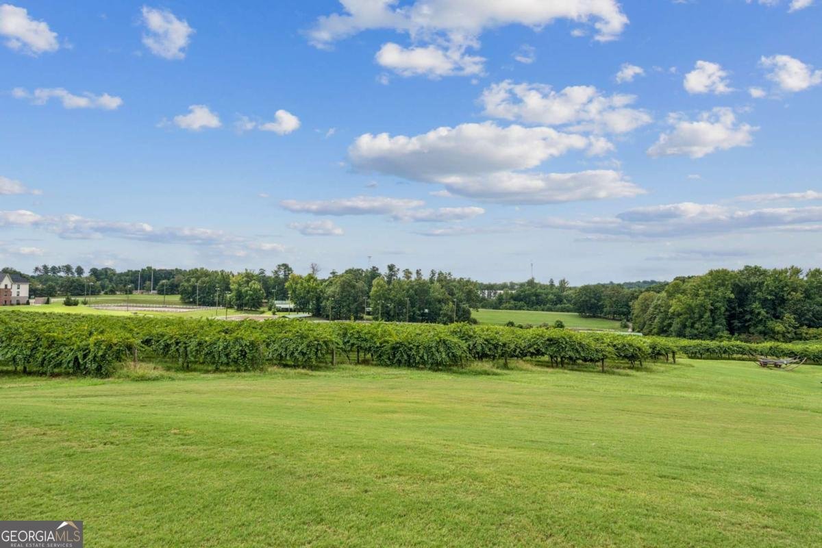 2230 Fleurie Lane Braselton - Photo 71