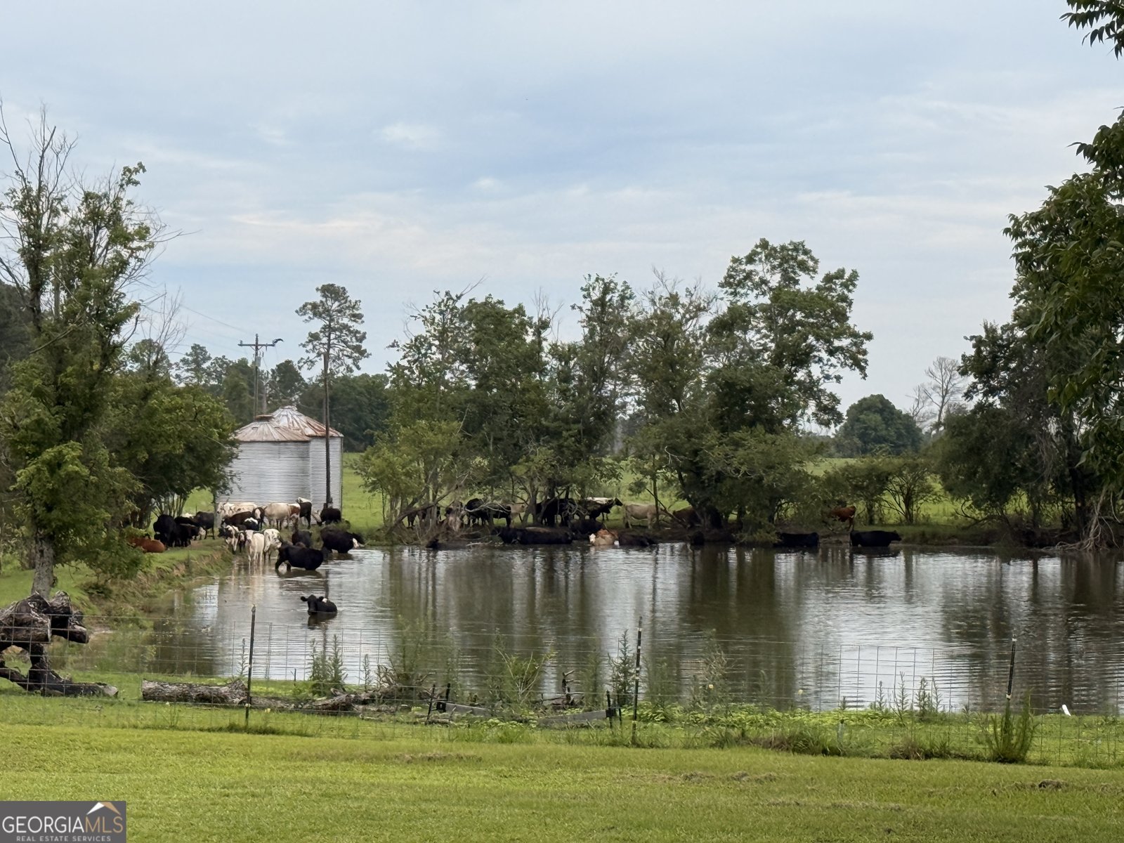 3349 Scotland Road Alamo - Photo 47