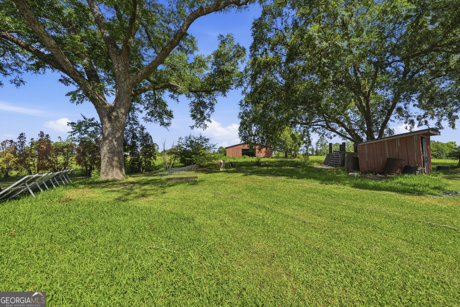 3349 Scotland Road Alamo - Photo 48