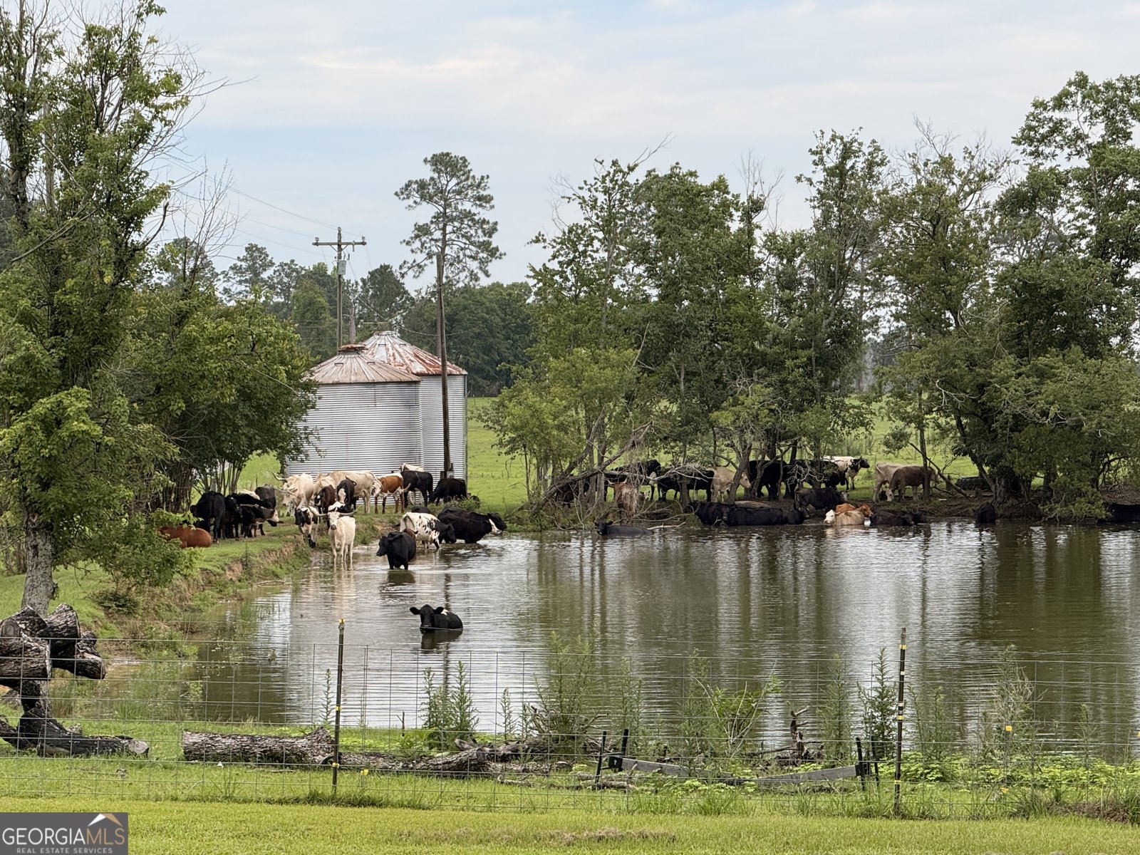3349 Scotland Road Alamo - Photo 53