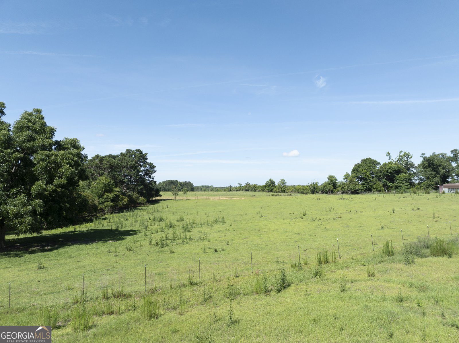 3349 Scotland Road Alamo - Photo 68