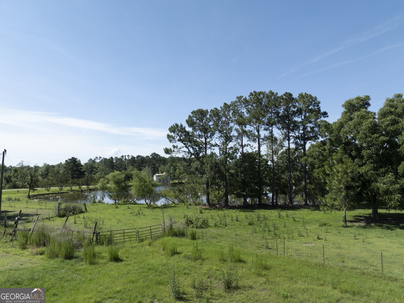 3349 Scotland Road Alamo - Photo 69