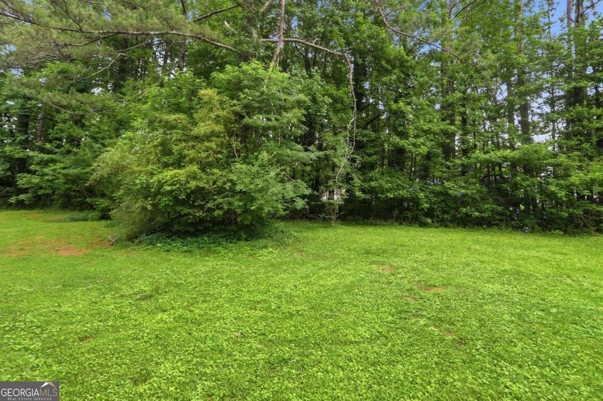 4305 Old Lake Drive Decatur - Photo 31