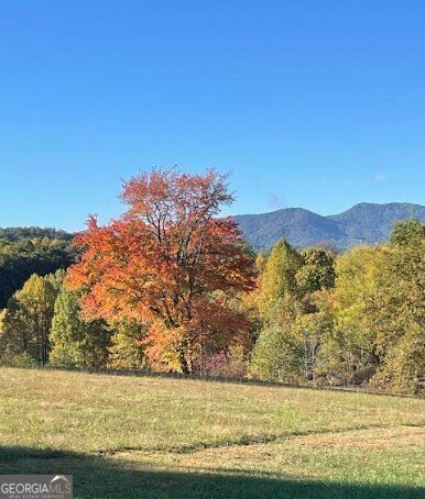 958 New Forest Road Young Harris - Photo 53