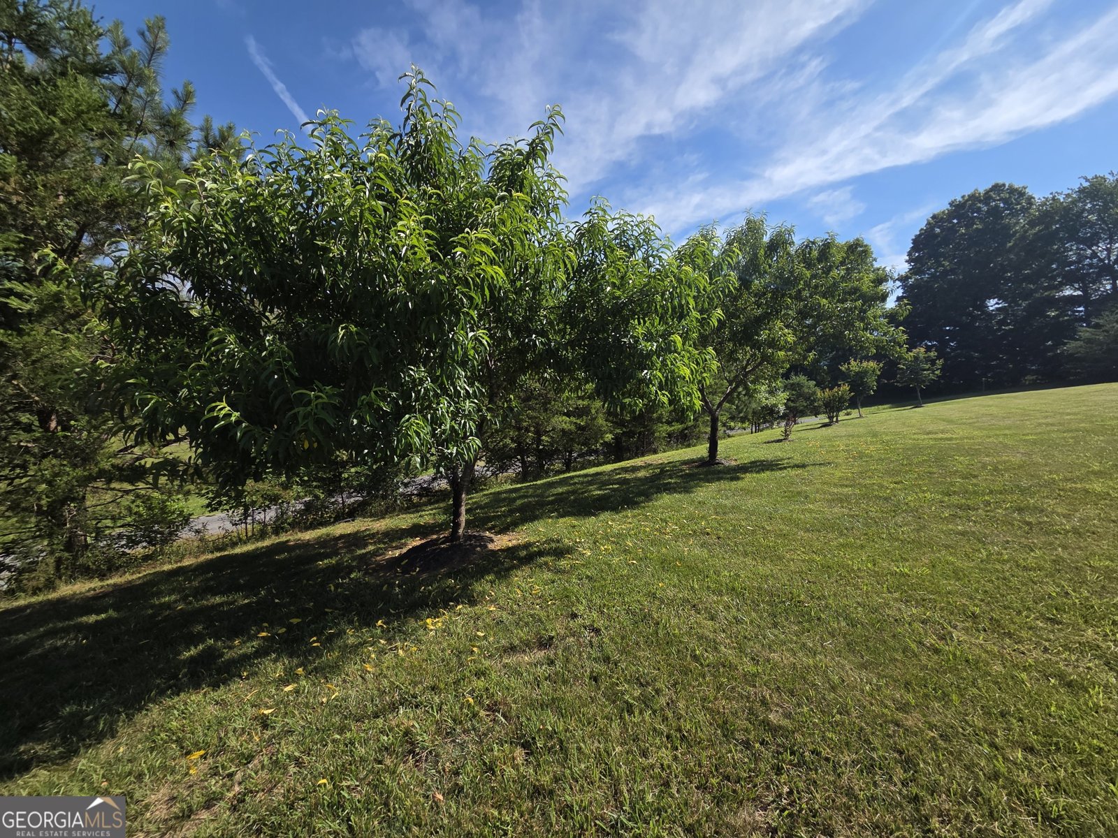 958 New Forest Road Young Harris - Photo 68