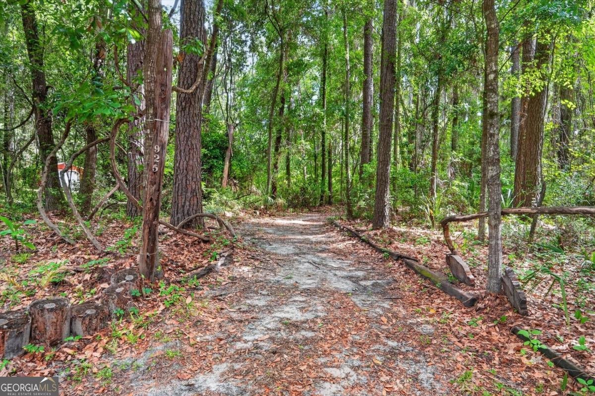 4777 Belfast River Road Richmond Hill - Photo 52