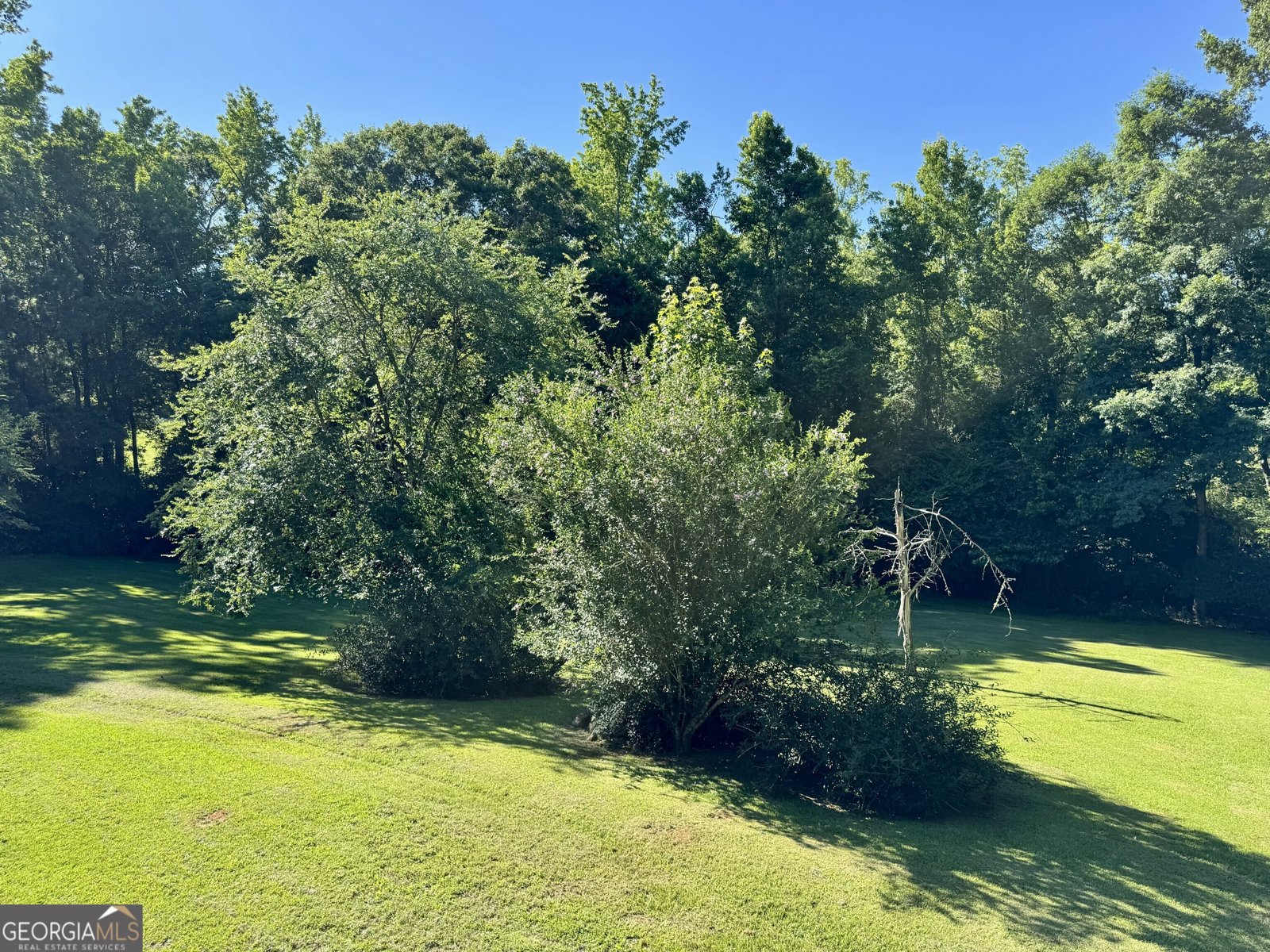 2325 Waymanville Road Thomaston - Photo 23
