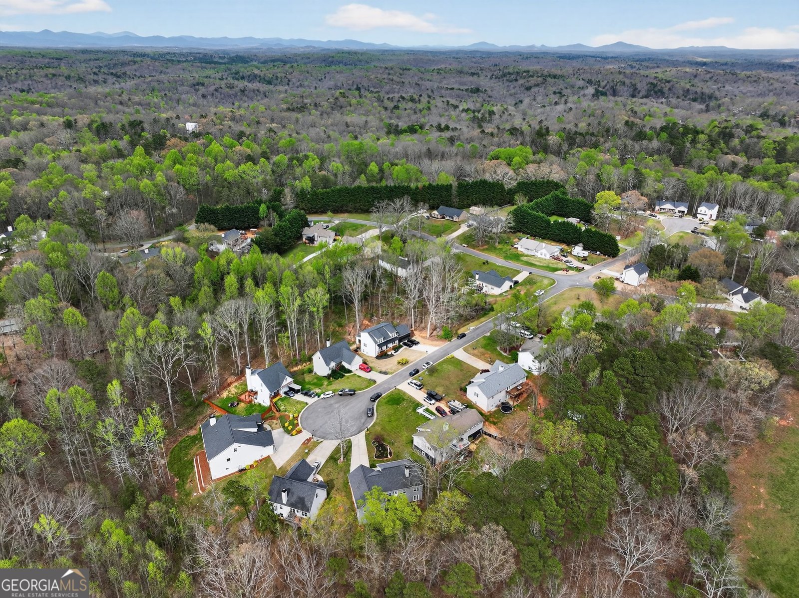 84 Timber Walk Dawsonville - Photo 80
