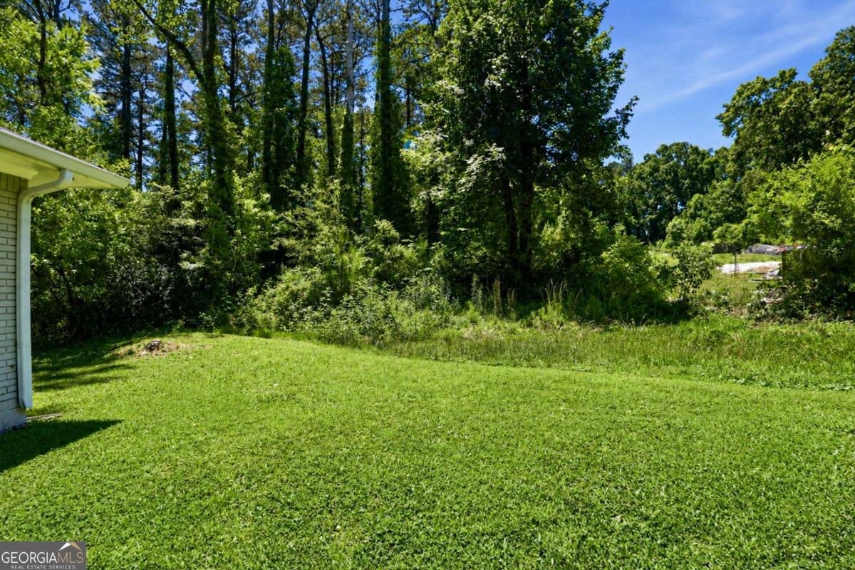 4303 Mercer Road Decatur - Photo 30