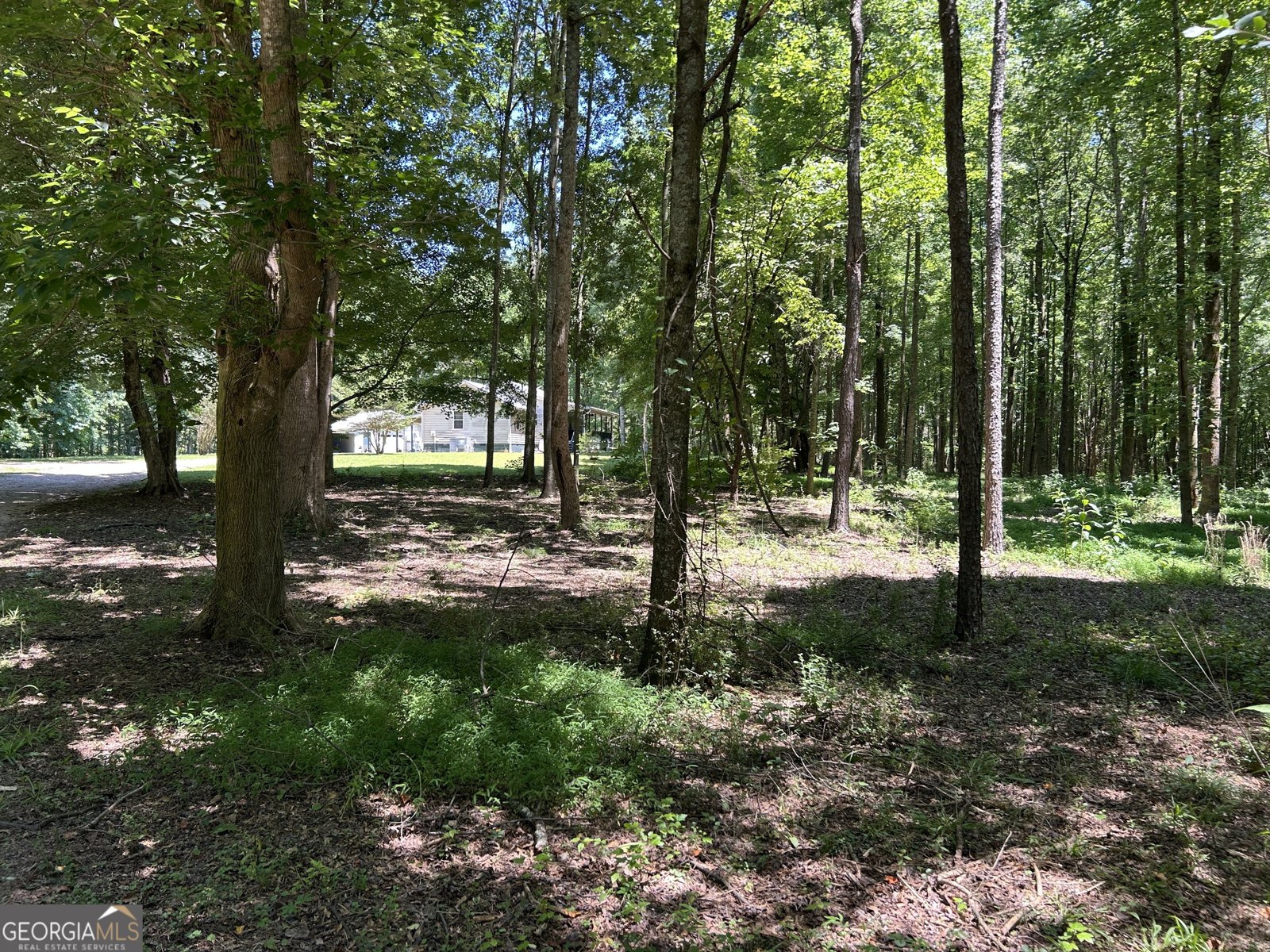 996 Grove Level Road Maysville - Photo 33