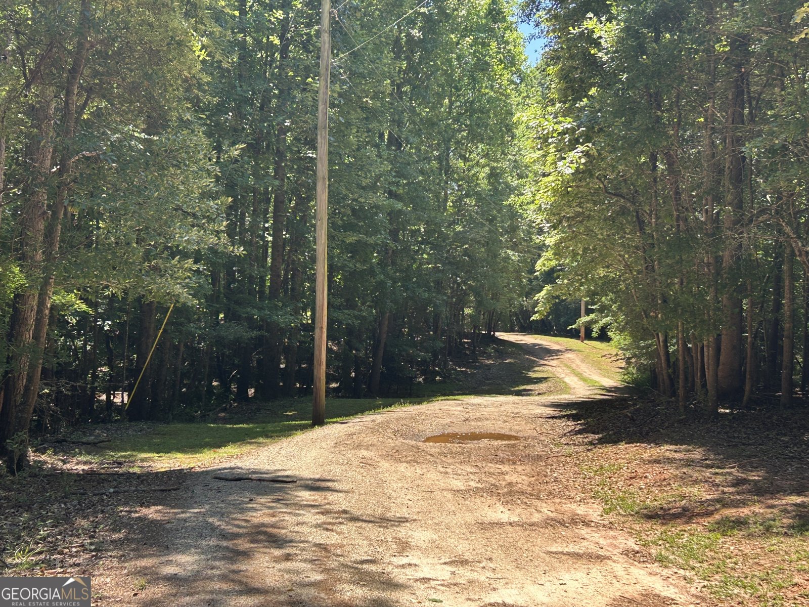 996 Grove Level Road Maysville - Photo 34