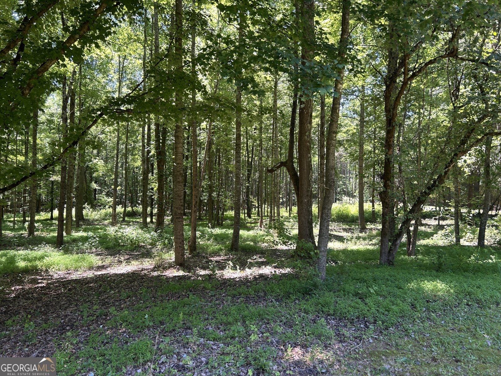 996 Grove Level Road Maysville - Photo 7