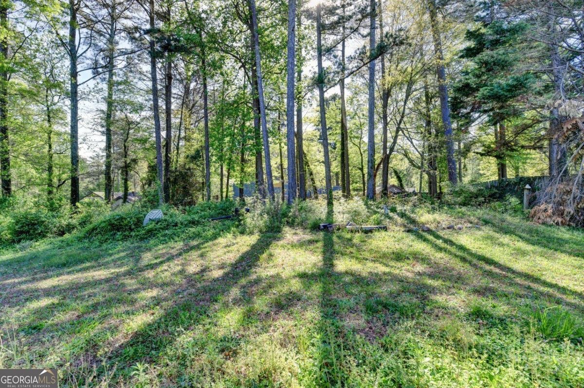 2154 Crystal Lake Drive Lawrenceville - Photo 100