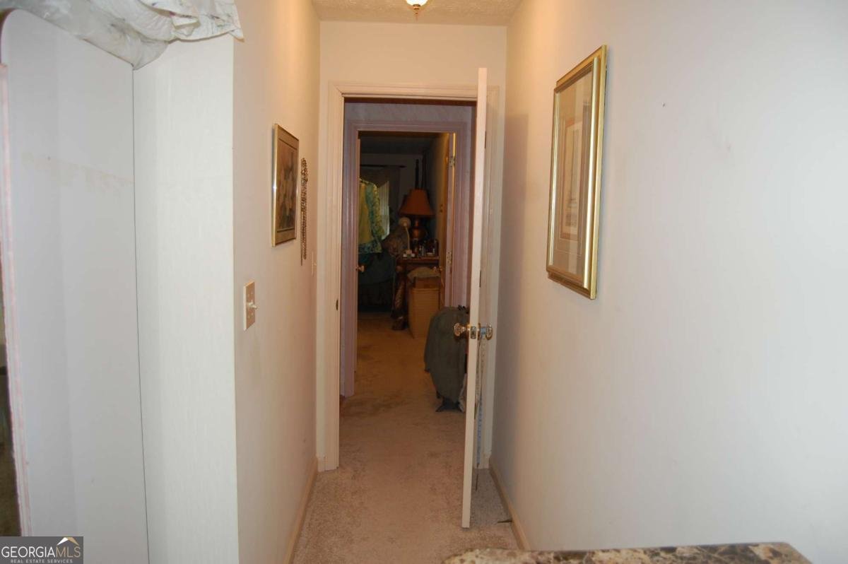3315 Salem Cove Trail Conyers - Photo 27