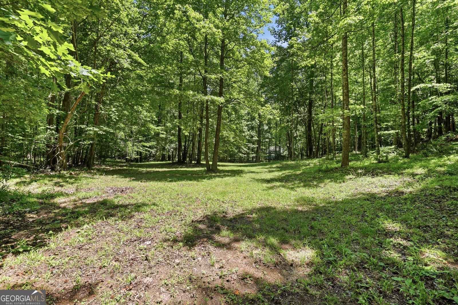 8721 Skitts Mountain Road Clermont - Photo 31