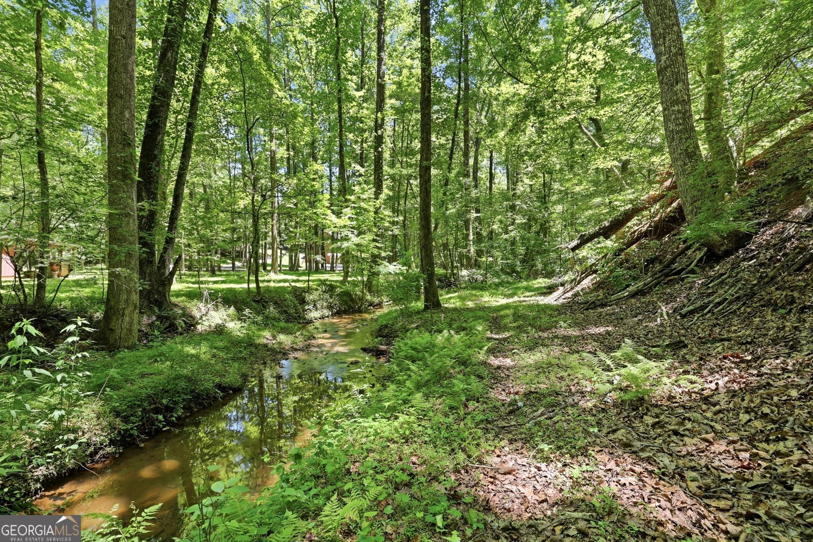 8721 Skitts Mountain Road Clermont - Photo 32
