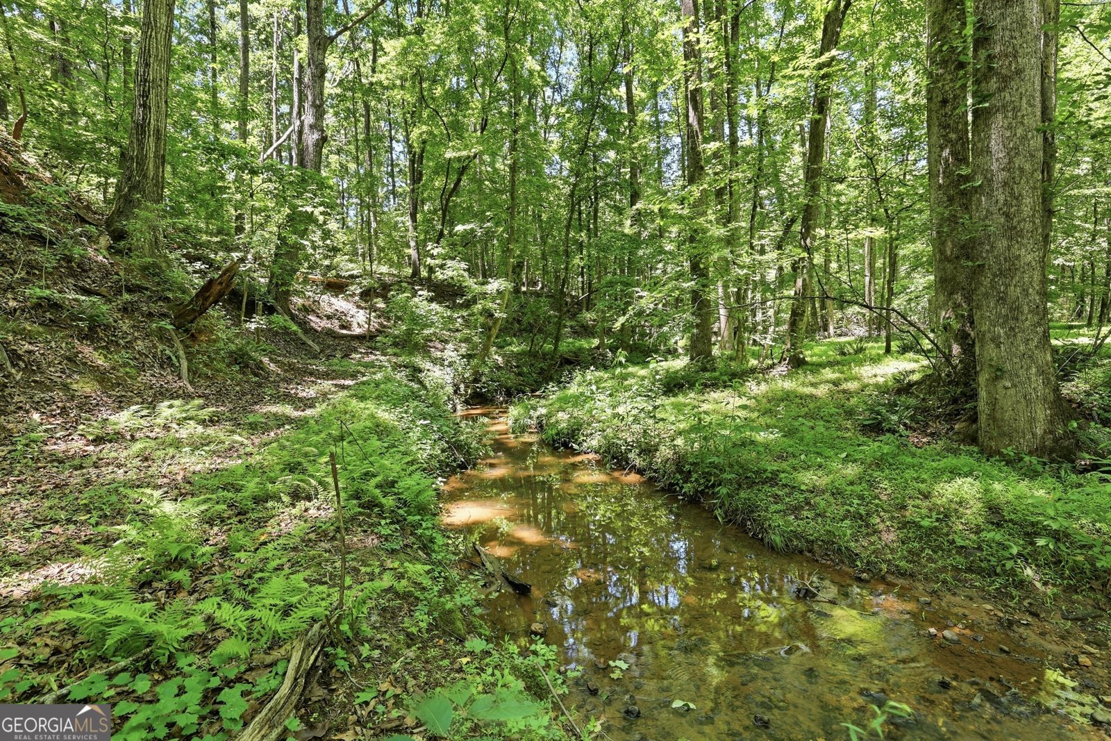 8721 Skitts Mountain Road Clermont - Photo 33